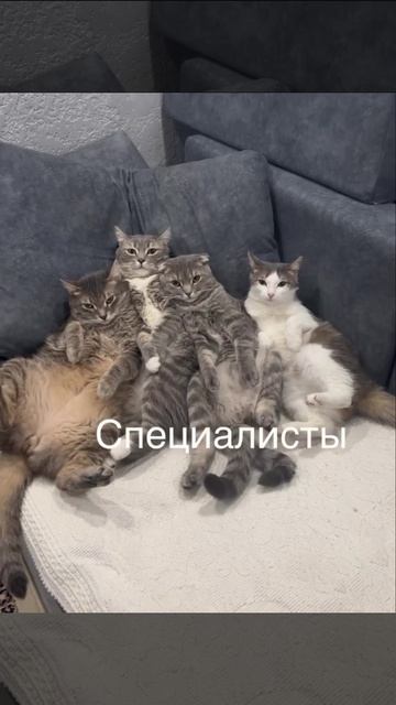 @video_smeshnyе (1).mp4