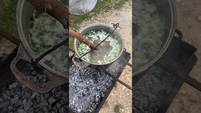 Контрасты южных краев