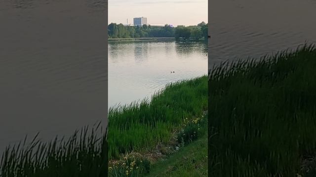 1000019001.mp4