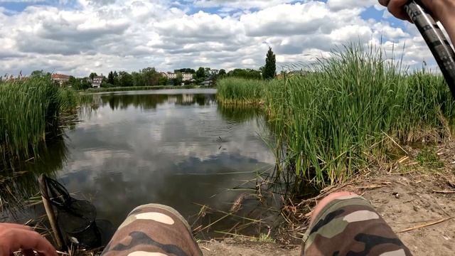 🎣 Рыбалка на ПОПЛАВОК после работы — идеальный отдых! (Поймал карася и забыл про стресс)
