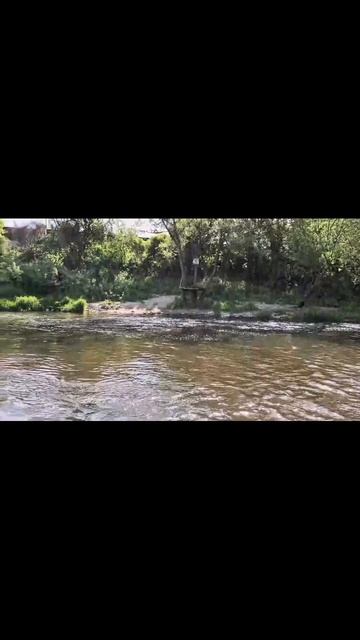 Лучшее время - отдых на природе #сплавпореке #отдыхнаприроде #водныйпоход #активныйотдых #набайдарке