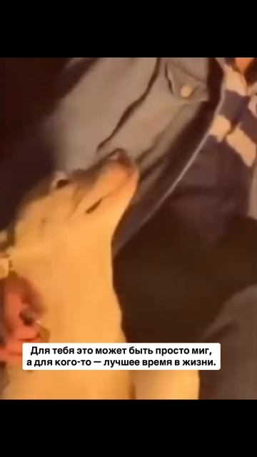 Не нужно говорить правильно. Не нужно объяснять, спасат...ьят..., в которой кто-то чувствует- «со мн