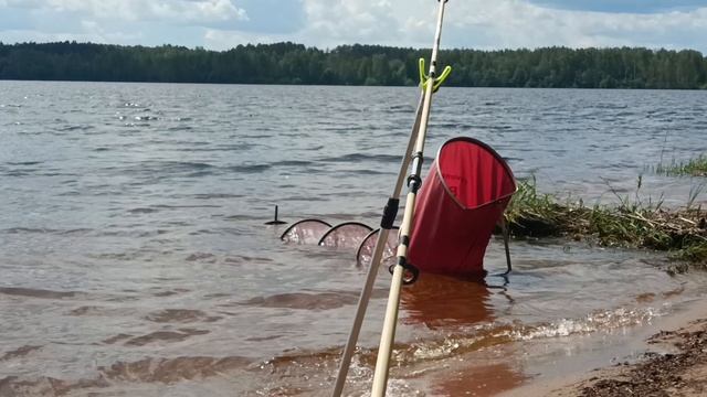 Нарушители Рыболовного Сезона #рыбалка #сезонрыбалки