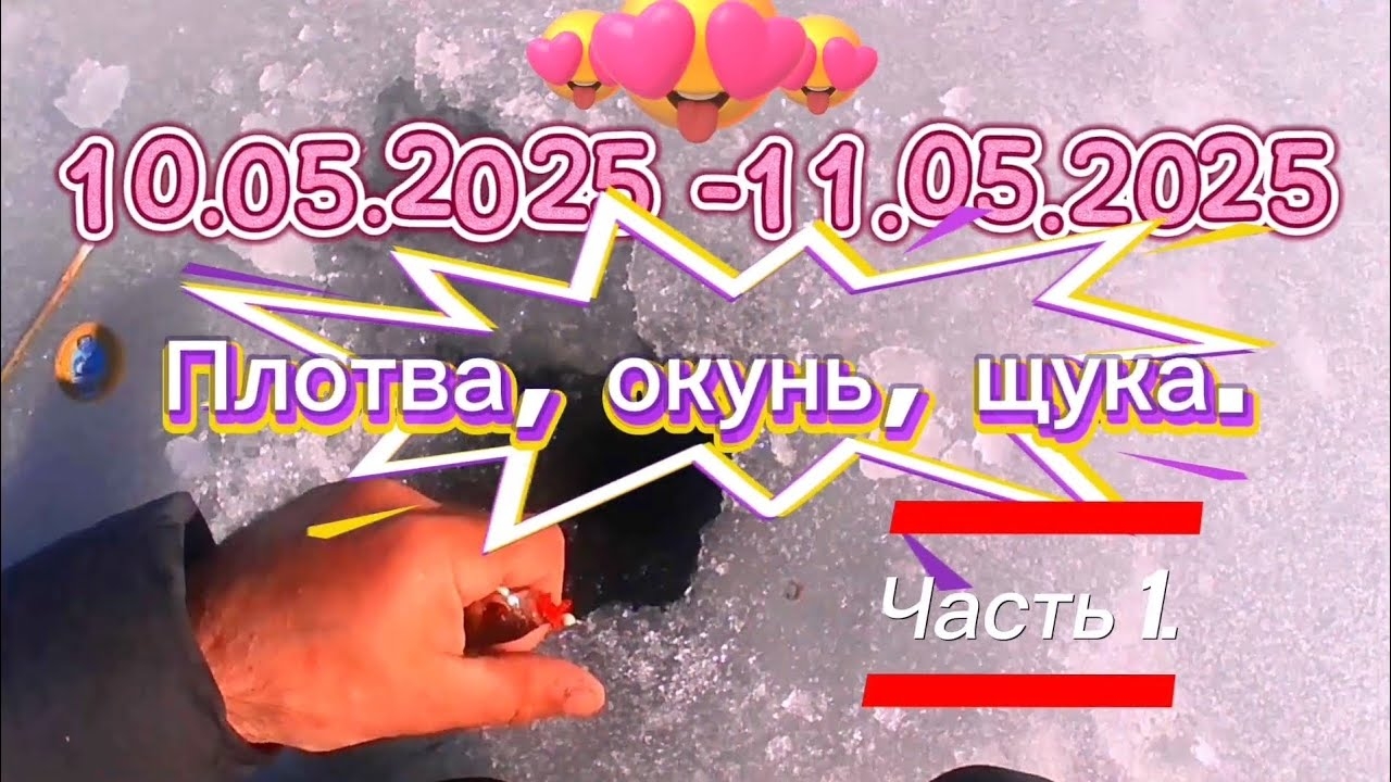 ПЛОТВА, ОКУНЬ, ЩУКА. ЗАКРЫТИЕ ЗИМНЕГО СЕЗОНА 2024-2025 Г. ЧАСТЬ 1.