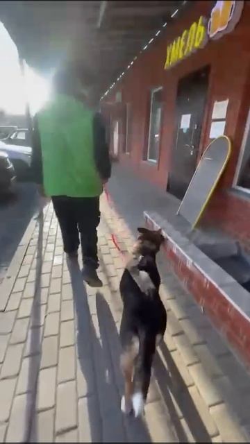 Регина из приюта.