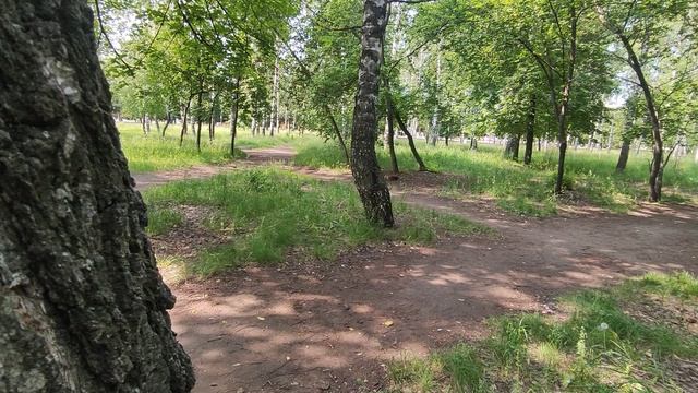 Да ладно тебе мам, я уже знаю, что ты за этим деревом спряталась гав
