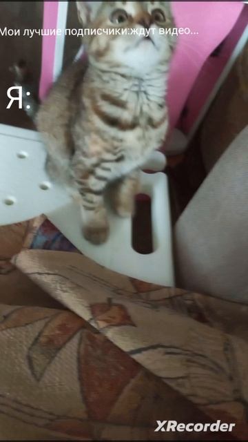 не ну а что