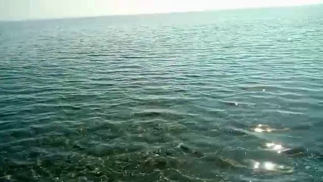 Гостевой дом "ДонБас", с. Солнечногорское, Крым. Пляж .
