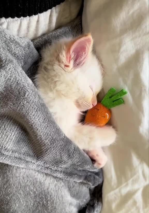 Подпишись 👉 https://vk.com/ykrasheniy_iz_kamny