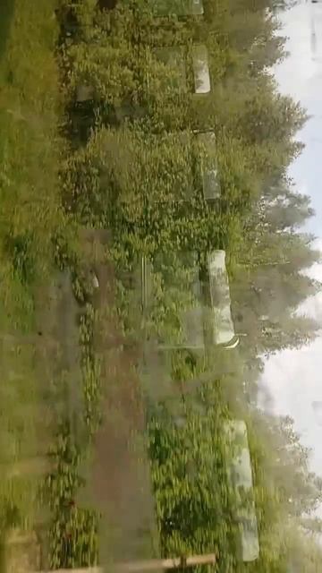 scene_output.mp4