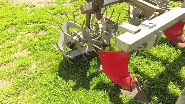 7 июня 2025 Газ  и Ёжики