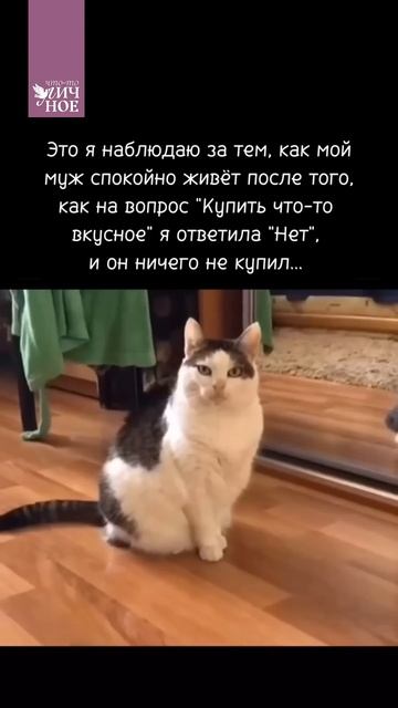 Когда муж не купил что-нибудь вкусненькое