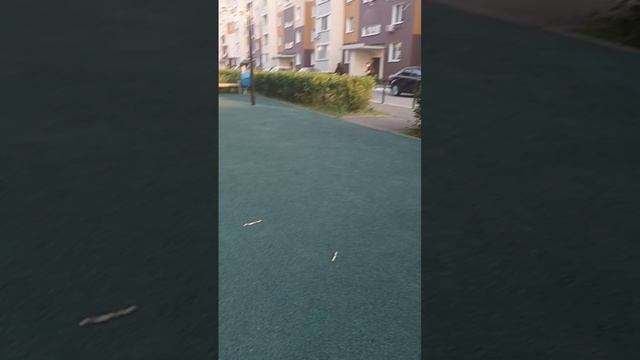 гимнастика