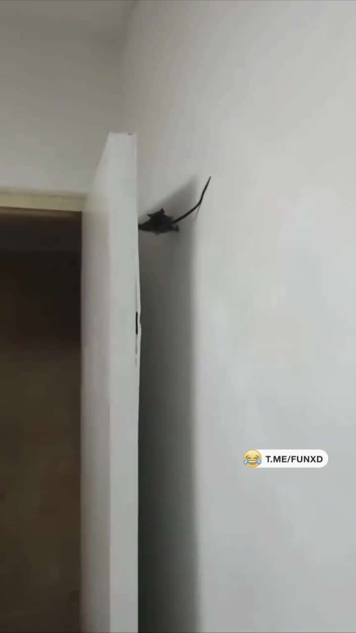 Миссия невыполнима😁