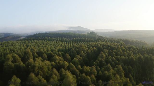 Послушай эта музыка усиливает каждое мгновение - Last One -- Small Tall Order -- Easily