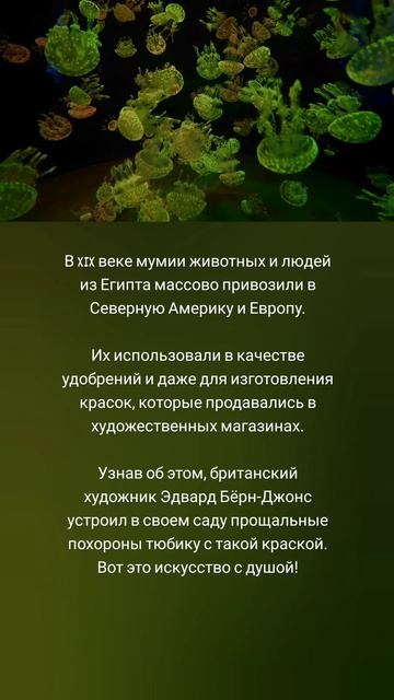 Похороны краски: искусство и протест 😲🎨🌿