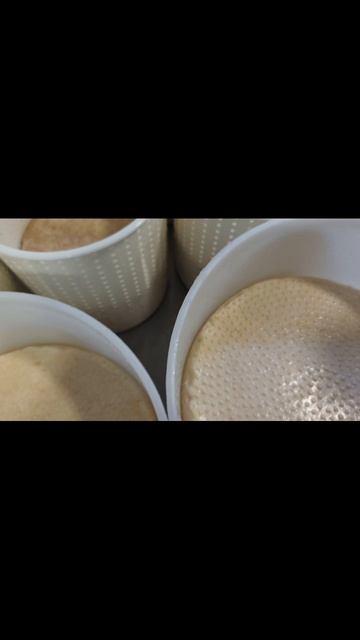Приготовили сыр "Леггеро" с вяленой щукой холодного копчения / "Сыроварня Елисеевых"
