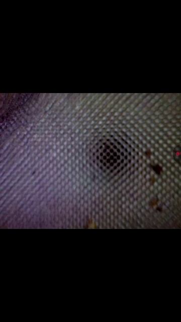 осмотр катализатора solaris.mp4