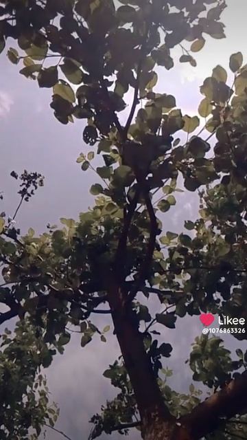 1000020205.mp4