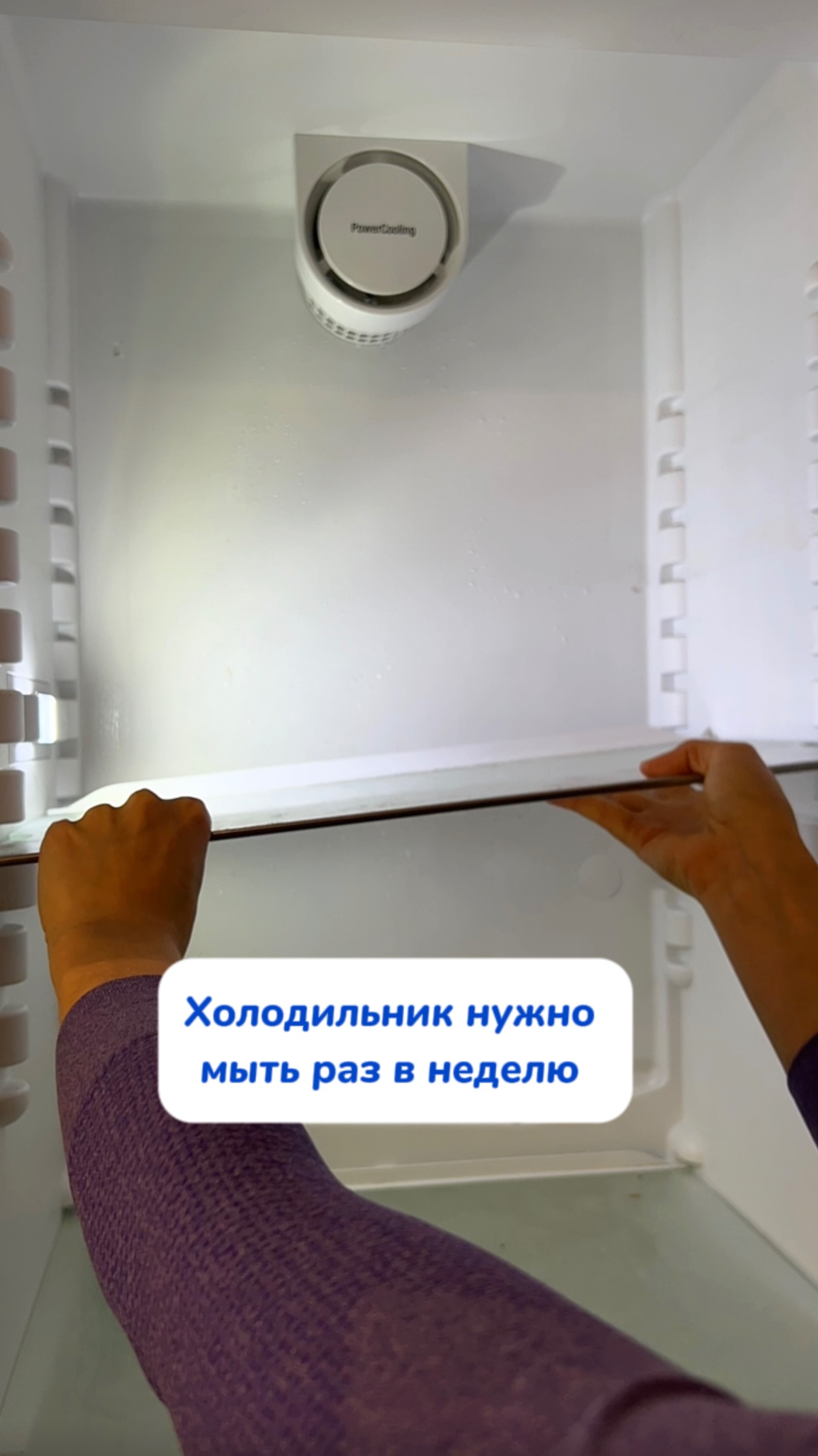 Как часто вы моете холодильник?
