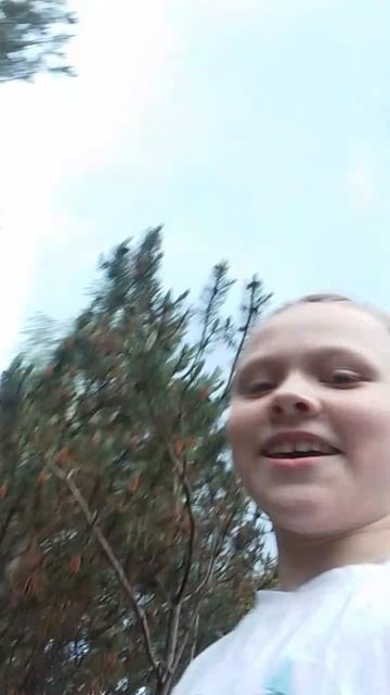 дождик