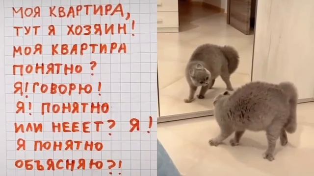 )