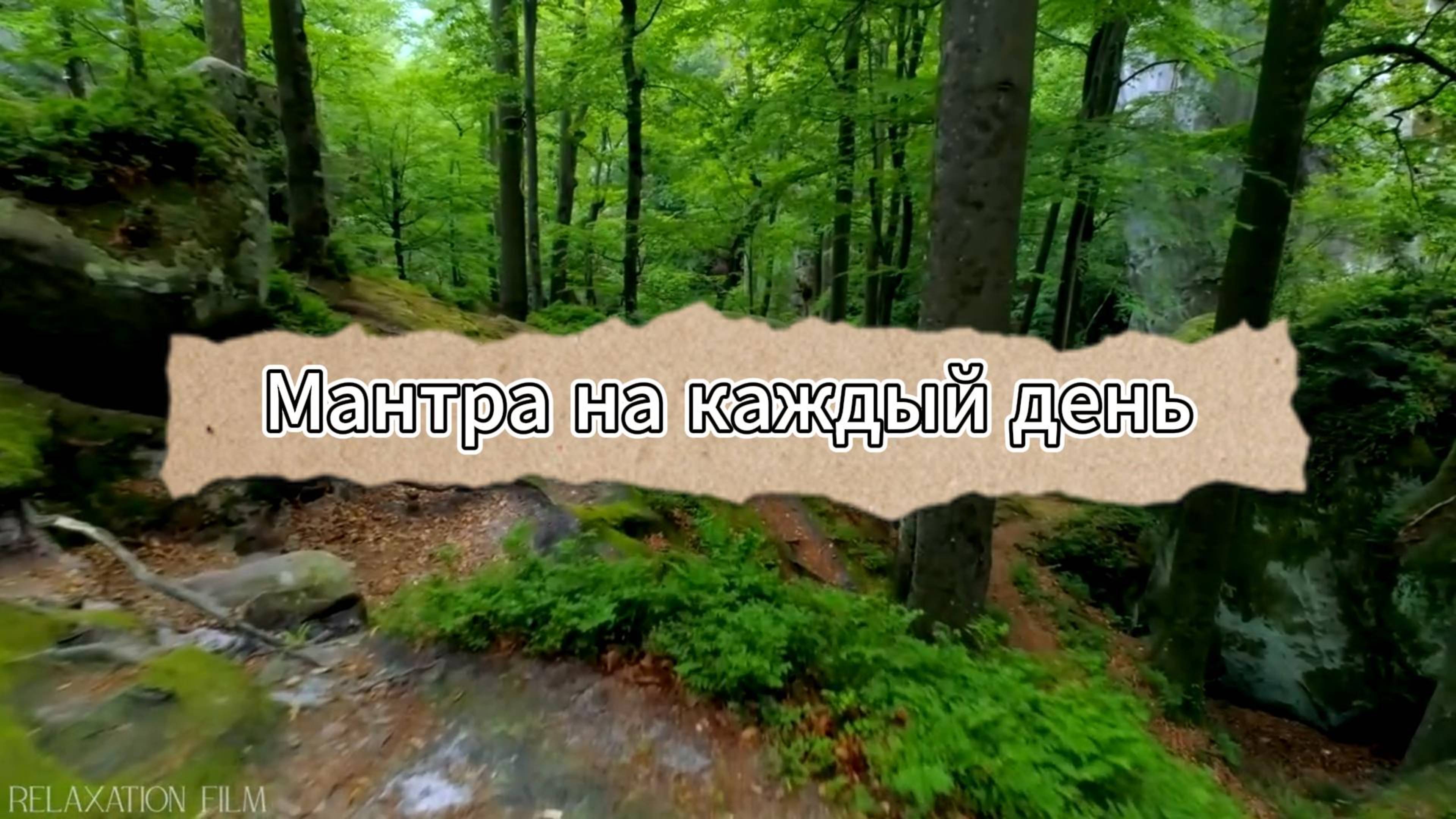 ЖИЗНЬ ЛЮБИТ ТЕБЯ