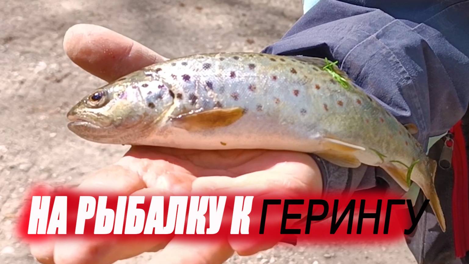 На рыбалку к Геренгу