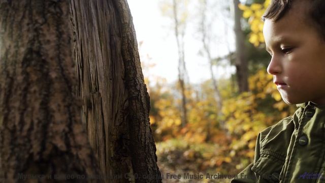 Лучшая музыка года - на фоне рая - Bashful -- Ketsa -- Abundance