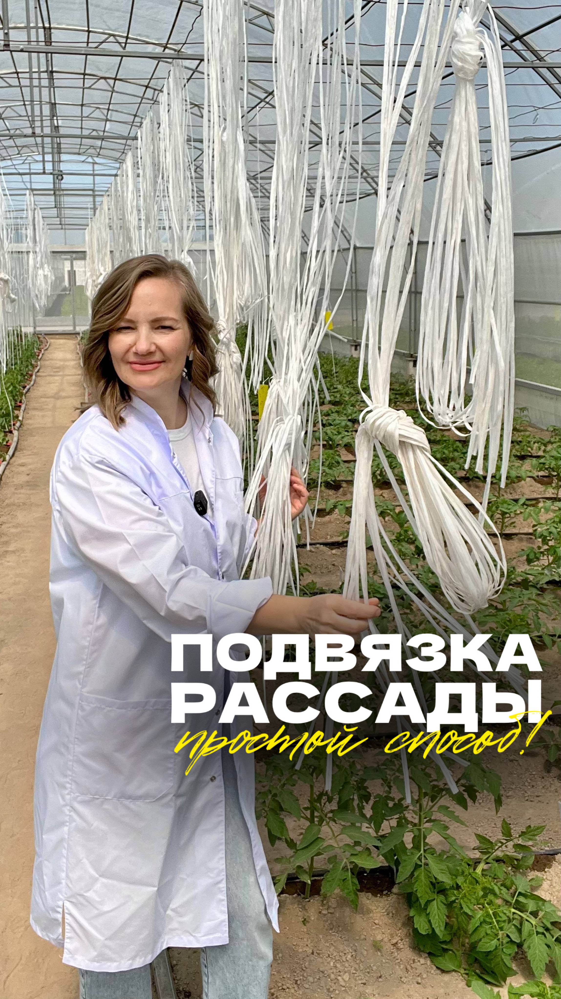 🧵 Подвязка рассады: простой способ для крепких растений