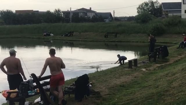 утренние поимки на малом водоёме