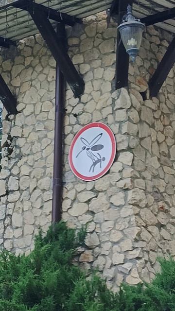 аккуратнее камары 🤣