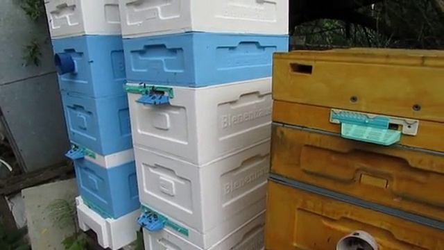 улей без осмотров, только ставлю магазины под мед , в гнезде пчелы живут своей жизнью , 6.06.2025
