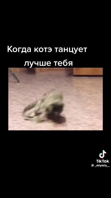 1000102230.mp4