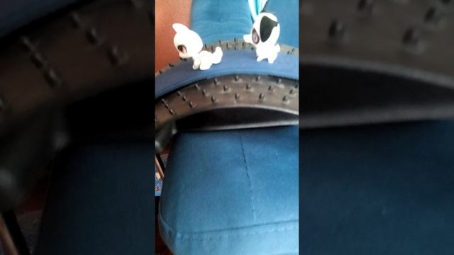 Приключения котика и пёсика!! анимация, серия 1, попадание на землю.