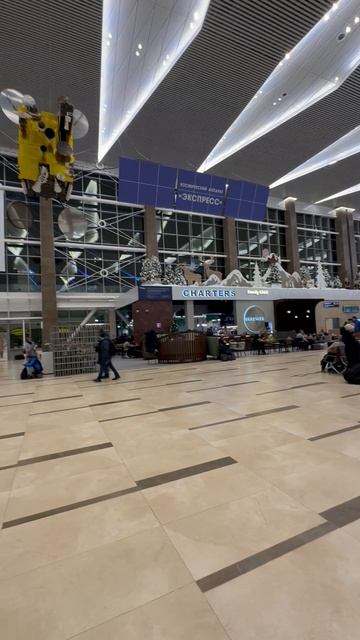 Аэропорт Красноярск им. Хворостовского 24.12.24 ✈️