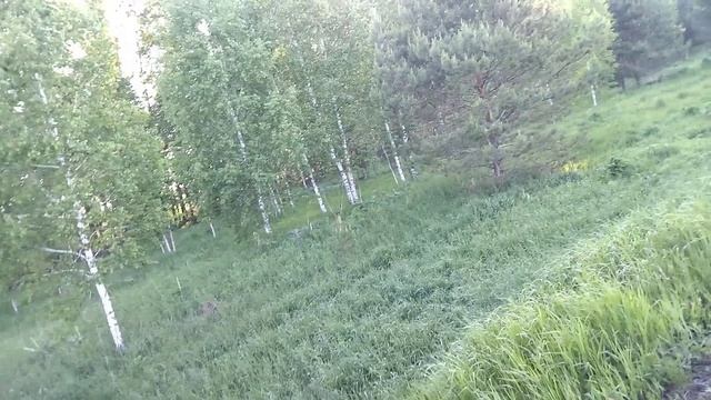 При соседица куда-нибудь отдохнуть.