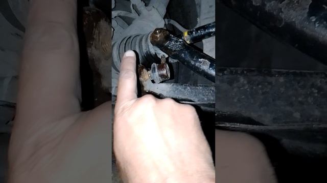 1000014239.mp4