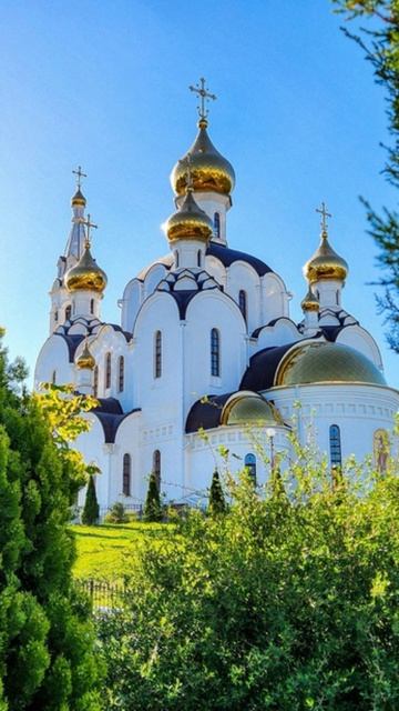 Душевный лекарь#Церковь#shortvideo#shorts#Молитва#Православие
