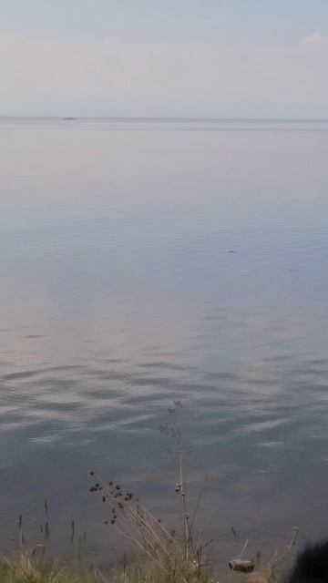 scene_output.mp4