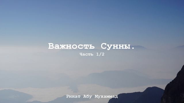 Про Важность Сунны. Часть 1 из 2. Ринат Абу Мухаммад