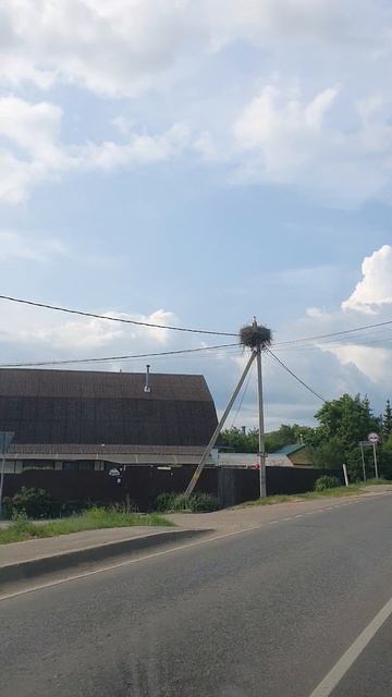20250607_074159.mp4