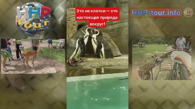 Кхао Кхео | Контактный зоопарк в Паттайе | HHP tour