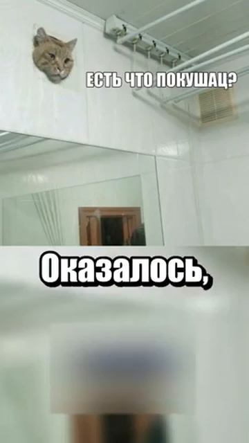 i11ushenka (190)