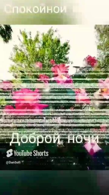 VID_20250608193211