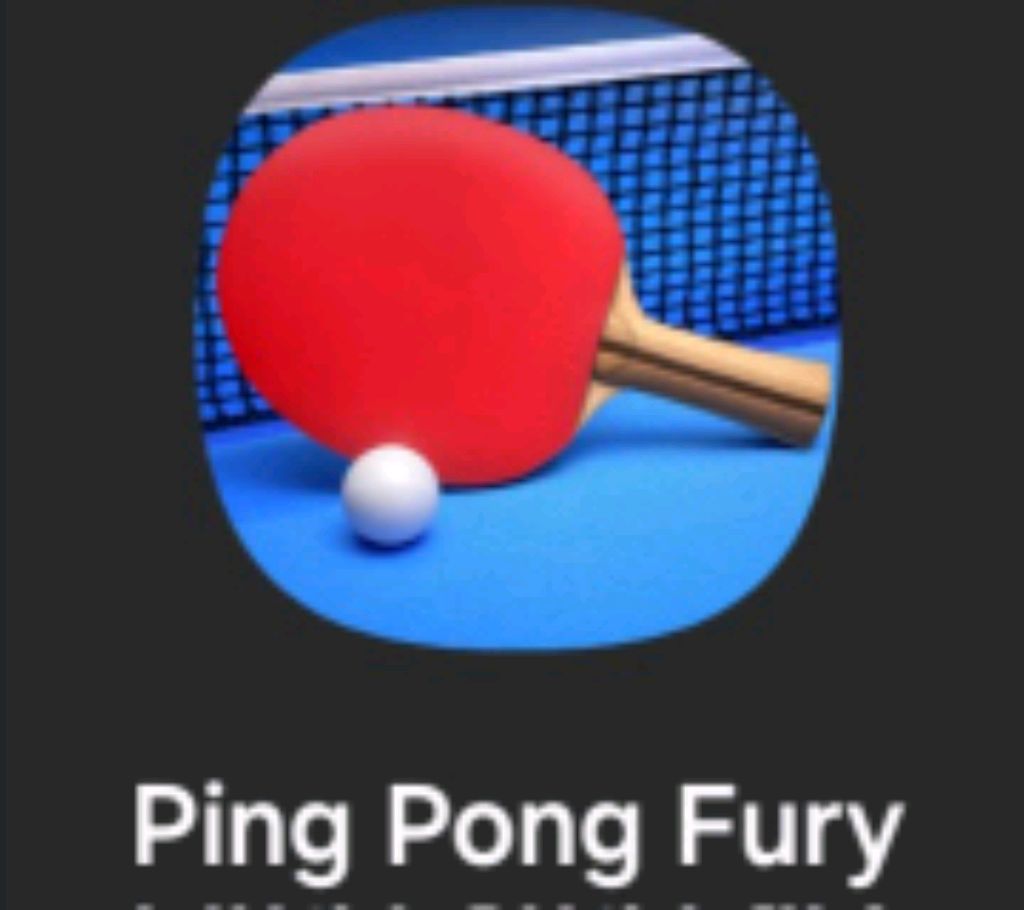 играем  в PING PONG FURY (маслов)
