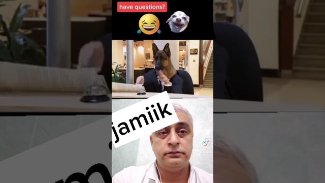 Портье.

1000017763.mp4