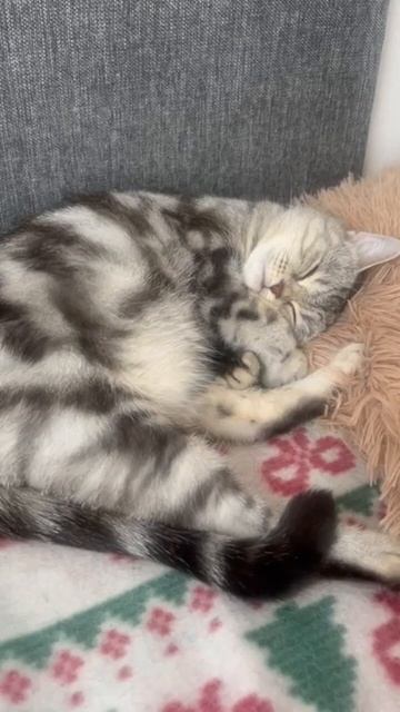 Хотел сделать кофе ☕️