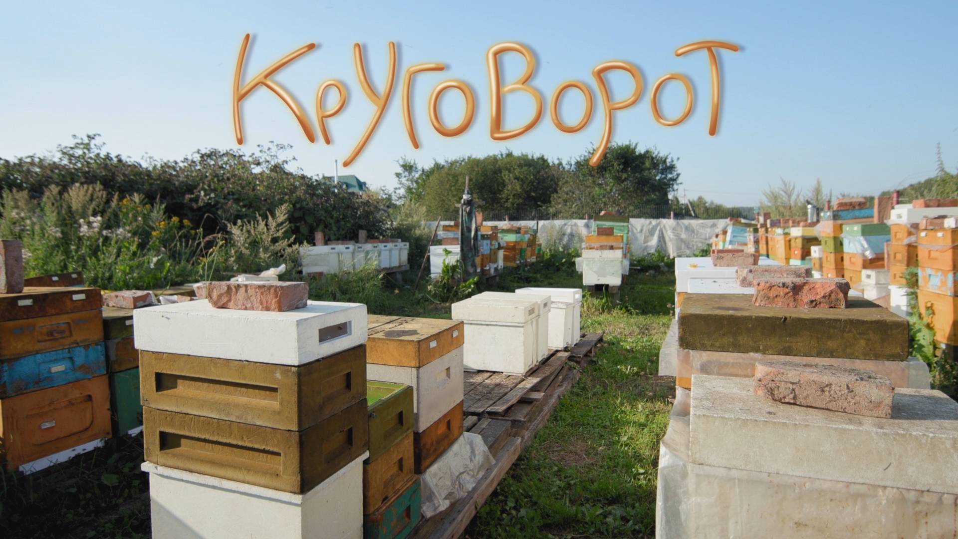 КРУГОВОРОТ / Портретный очерк (2024)