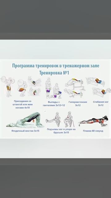 8 упражнений на группу мышц